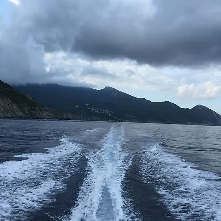U Marinaru